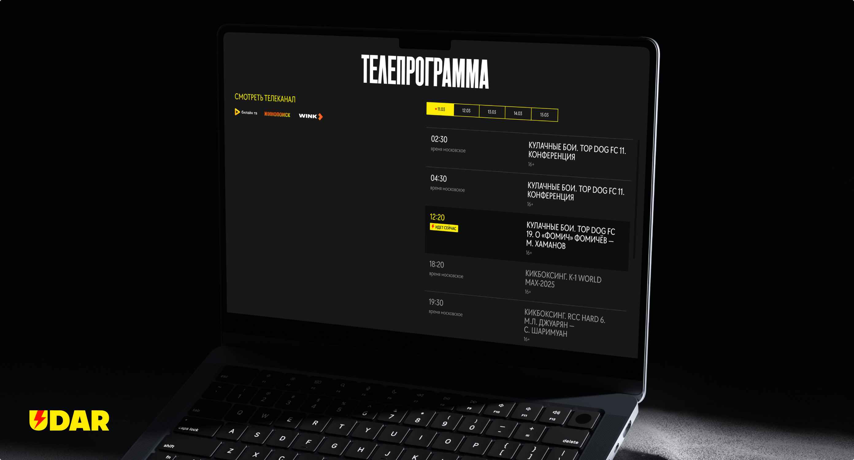 Udar. Одностраничный сайт. Изображение 4